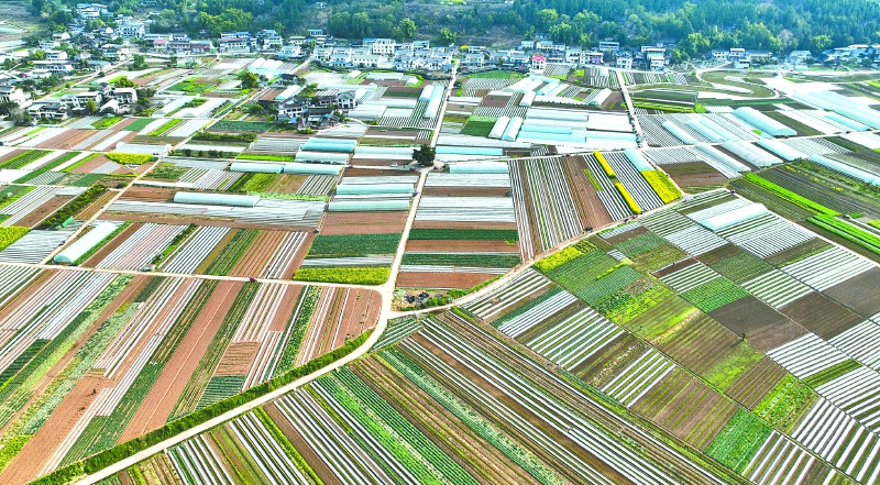 筑牢“耕”基 全链升级