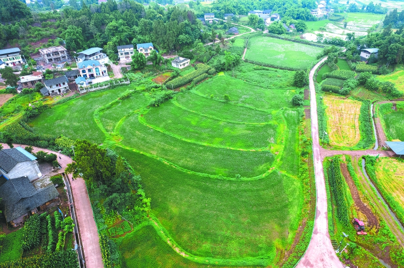营山县茶盘、盐井水库灌区改造项目主体工程基本完工，将为5.27万亩农田筑起“水屏障”