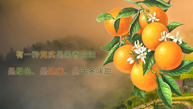 手机图片二