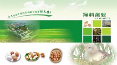 四川省绿科禽业有限公司
