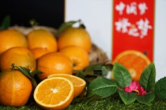 南充市高坪区橙之源柑橘种植专业合作社