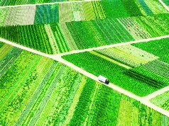 我市以现代农业园区为载体构建现代农业体系，推进农业高质高效发展