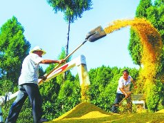 西充：打造“中国有机农业第一县”