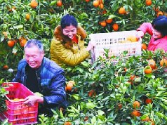 蓬安通过壮大集体经济、支持返乡创业等方式，促进农民增收致富