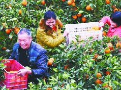 蓬安通过壮大集体经济、支持返乡创业等方式，促进农民增收致富