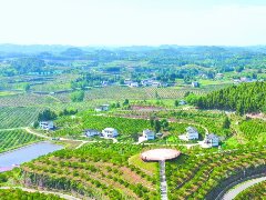 全市建成县级以上现代农业园区78个