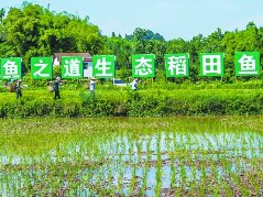 大学生回乡创业新时代农民带头致富