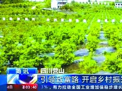 党建引领乡村振兴营山获得央视点赞