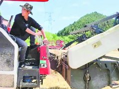 南充90后“新农人”谢松的绿色产业