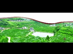 我市4个园区上榜省星级现代农业园区名单