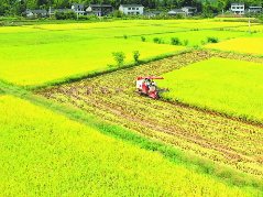 营山获评四川省县域经济发展先进县