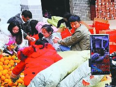 电商助力柑橘出山农民增收