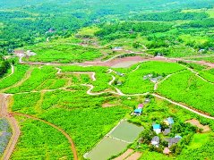 嘉陵区全面落实农业农村优先发展战略