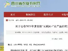 西充县入选省级“互联网+”农产品出村进城工程试点县