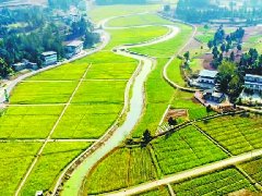 10万余亩荒地变良田