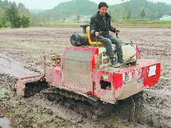 “铁牛”上阵春耕提速