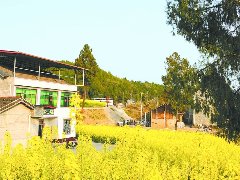 川北农村新鲜事：不等不靠，这个村“打伙开荒”共同致富