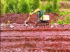 拆除废弃养鸡场20余亩荒地变良田