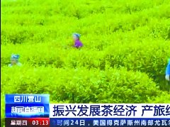 产旅结合带动乡村振兴央视《新闻直播间