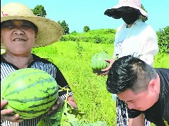 卸下戎装勇闯商海返乡创业回馈家乡