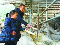 “萌宠”入住小乡村特色乡村旅游掀热潮