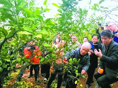 专家教学培育“田秀才”“土专家”