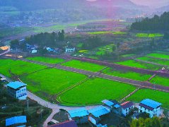 西充县建成高标准农田54万余亩
