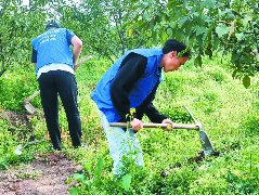 硕士研究生常驻南部柑橘科技小院