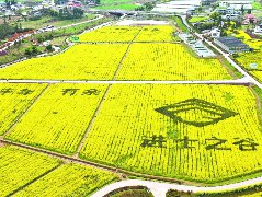 营山荣登全省乡村振兴年度“光荣榜”