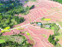 小流域水土流失综合治理助力乡村生态振兴