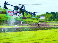 从“会种田”到“慧种田”