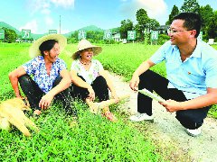 联动监督守牢粮食安全底线