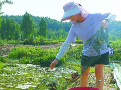 稻虾共生村民走上致富路