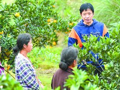 从“云端”到田间农技专家线上线下“传经送宝”