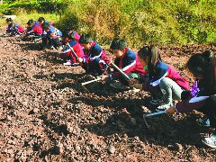 500余名学生把课堂搬到田间