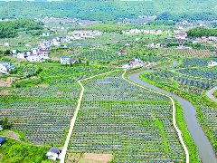 南部：和美乡村处处景