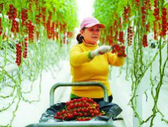 凤仪湾中法农业科技园入选“2023年全国现代设施农业创新引领基地