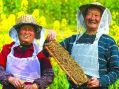 一路追花 让甜蜜事业“蜂”生水起