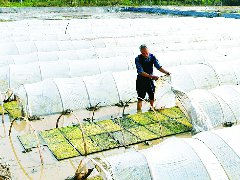 流转土地2000多亩，从种到收全程机械化  一个种粮大户的别样春耕