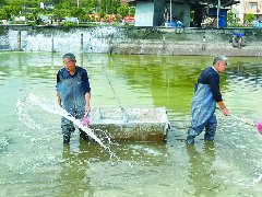 护航“水上春耕” 按下渔业生产“加速键”