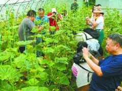 加拿大专家点赞南充有机农业生产模式