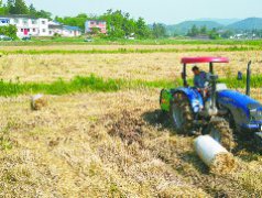 营山上榜2023年度全省秸秆综合利用工作先进单位名单  “秸”尽所能变