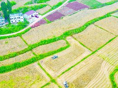 嘉陵持续推进高标准农田建设、巩固撂荒地整治成效、推动农业机械化