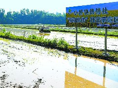 营山6万多亩田地有“保姆”
