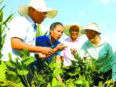 厚植成长沃土 让人才各展所长