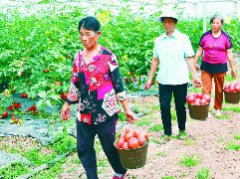 全链条服务 架起求职用工“连心桥”