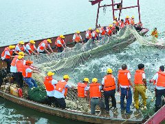 首网渔获超2.5万公斤 升钟湖迎来夏季捕捞期