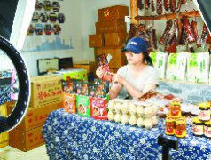 仪陇建成特色农场、产品加工、商业综合体3种消费场景的直播基地10个