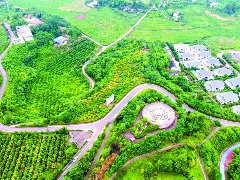 党建引领 共建宜居宜业和美乡村