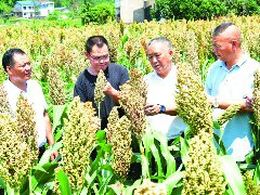 扶志又扶智 带动残疾人增收致富